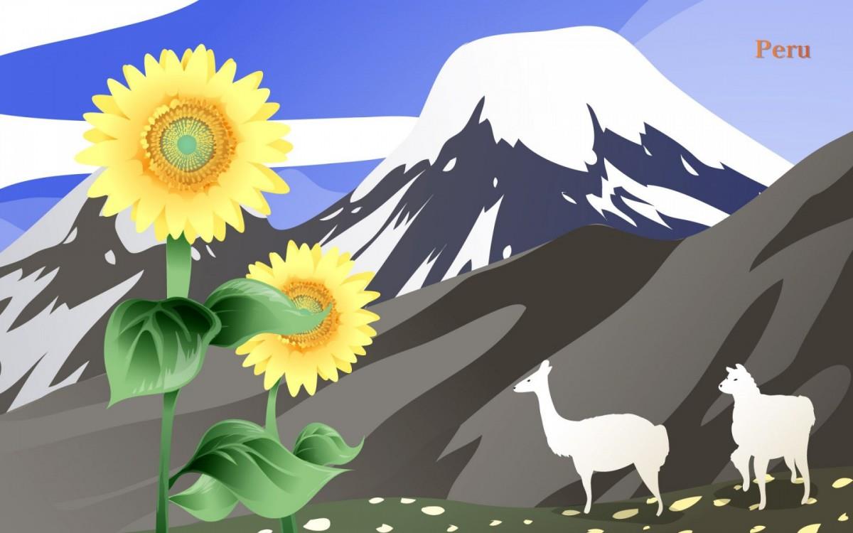 各国国花手绘图片