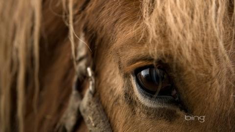 澳大利亚风景图片(bing)大全