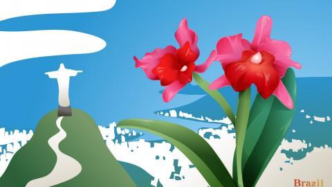 各国国花手绘图片