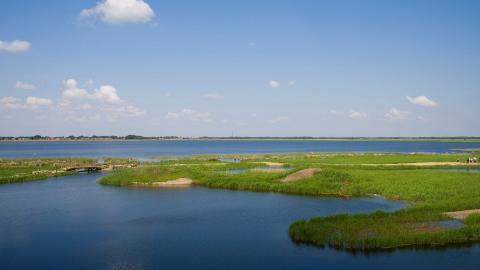 齐齐哈尔扎龙自然保护区风景图片大全