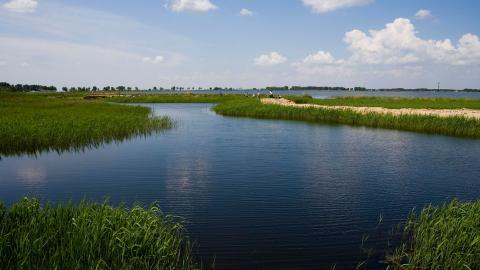齐齐哈尔扎龙自然保护区风景图片大全