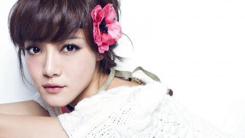 内地演员邓家佳高清图片