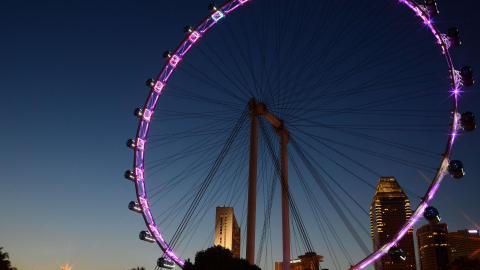 摩天轮景观图片