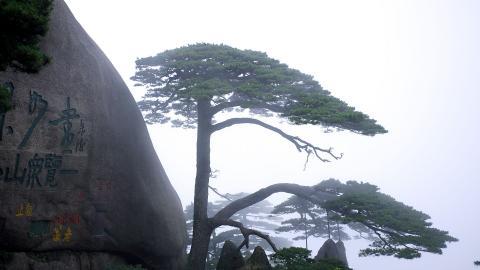 黄山国家地质公园风景图片