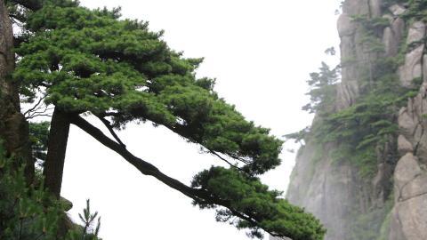 黄山国家地质公园风景图片