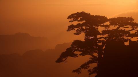 黄山国家地质公园风景图片