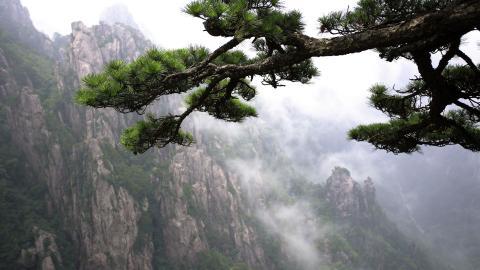 黄山国家地质公园风景图片