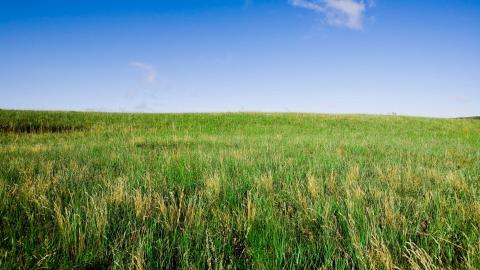 草原上的蓝天白云图片