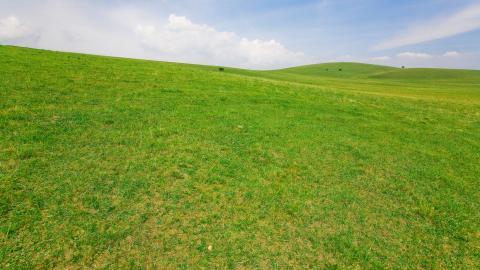 草原上的蓝天白云图片