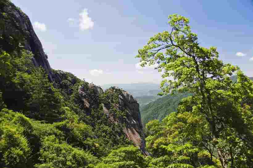 黄山国家地质公园风景图片