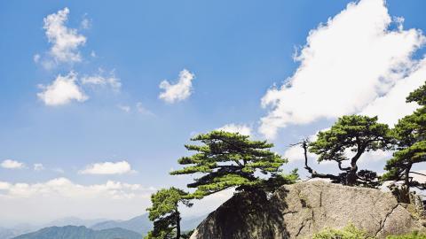 黄山国家地质公园风景图片