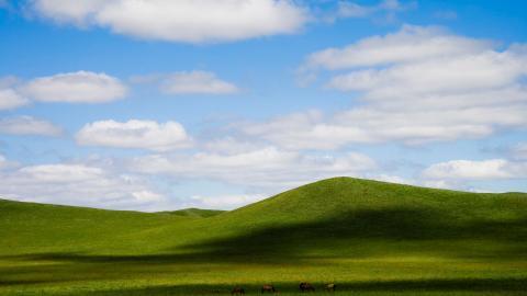 草原上的蓝天白云图片