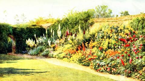 乡村风景水彩画图片