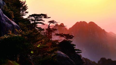 黄山景点云海图片