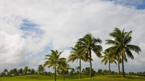 海南海口旅游城市风光图片