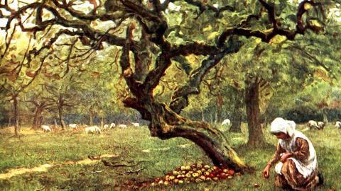 乡村风景水彩画图片