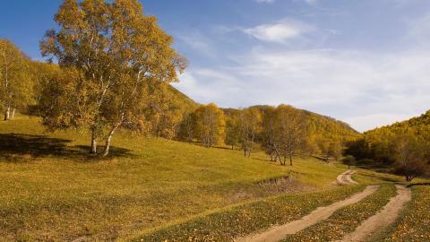 秋天的森林与草原图片