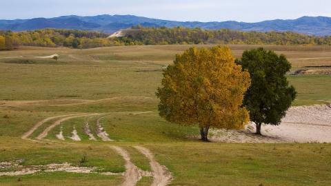 秋天的森林与草原图片