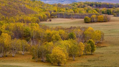 秋天的森林与草原图片