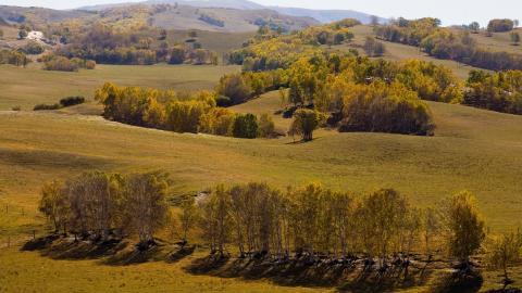 秋天的森林与草原图片