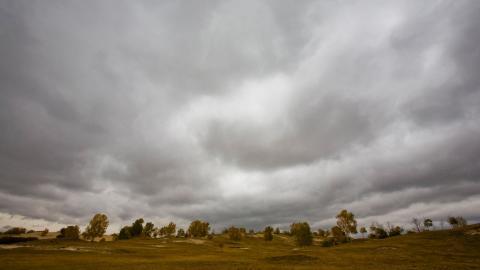 秋天的森林与草原图片