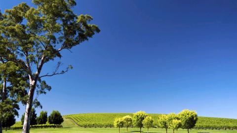 澳大利亚城市旅游风景图片