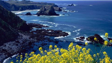 加利福尼亚州风光图片