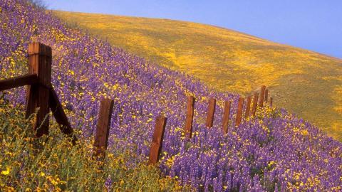 加利福尼亚州风光图片