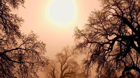 加利福尼亚州风光图片