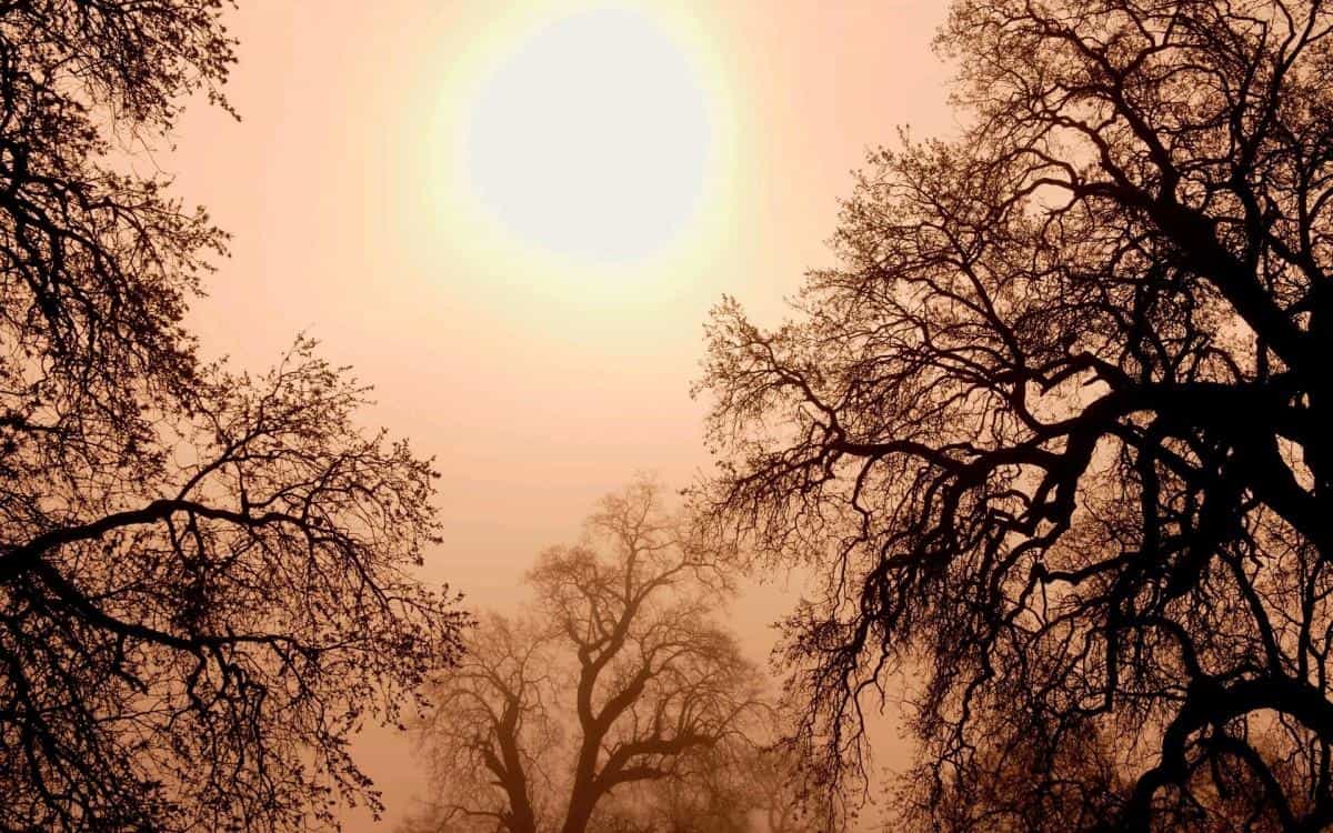 加利福尼亚州风光图片