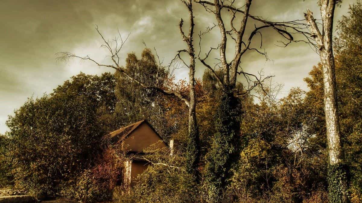 秋天的童话风景图片