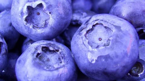 蓝莓高清图片
