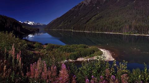 唯美秋天景色图片