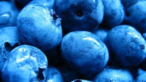 蓝莓高清图片