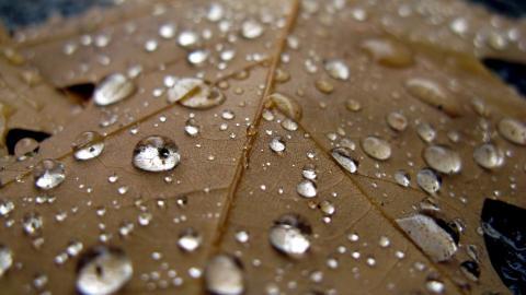 唯美秋天景色图片