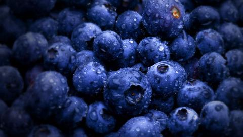 蓝莓高清图片