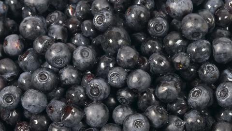 蓝莓高清图片