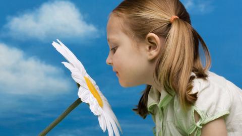 可爱小萝莉图片