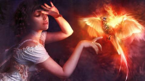 火凤凰卡通图案图片