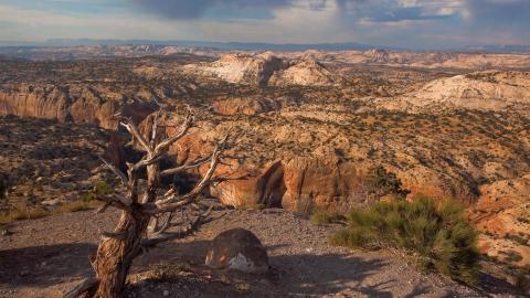 超高清沙漠戈壁风景图片