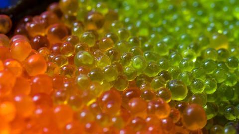 美食日本寿司图片