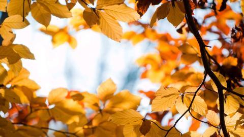 秋季美丽风景图片