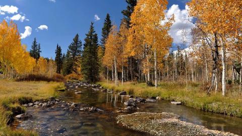 秋季美丽风景图片