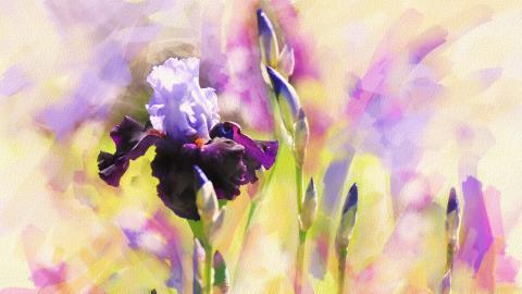 手绘花卉水彩画图片