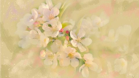 手绘花卉水彩画图片