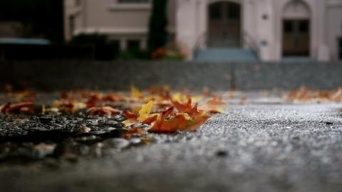 秋季美丽风景图片