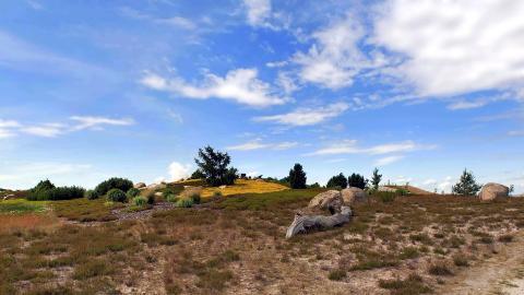 荒凉的沙漠戈壁风光