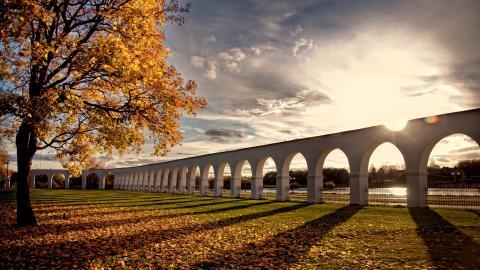 秋天的树木落叶景色图片