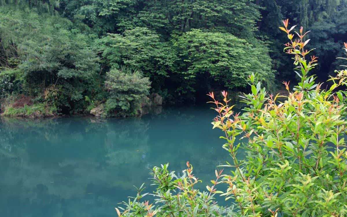 旅游渡假胜地花溪公园图片