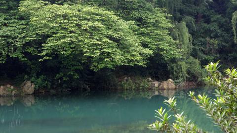 旅游渡假胜地花溪公园图片